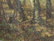 Vincent Van Gogh Tree Trunks with Ivy (nn04) oil